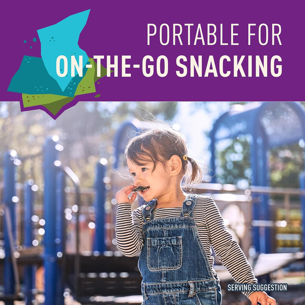 Organic Sea Salt Flavored Seaweed Snacks, Non GMO, 0.35 Ounces (Pack of 12)